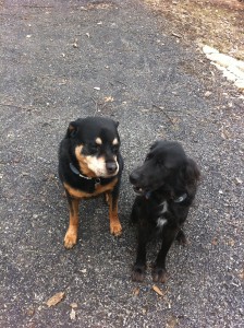 Rommel ans Nina looking at each other