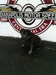 Chloe at track