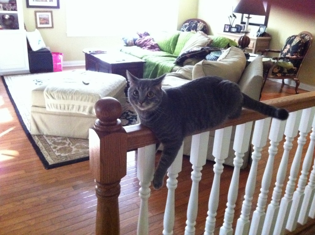 Hanging out